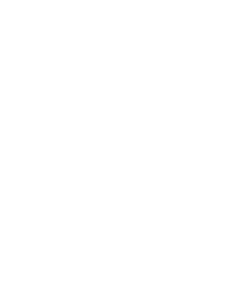 dome logo